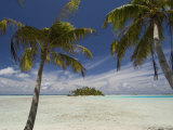 Blue Lagoon  Rangiroa  Tuamotu Archipelago  French Polynesia Islands