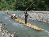 Rafting on Rio Grande  Port Antonio  Jamaica  West Indies  Central America