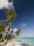 Fakarawa  Tuamotu Archipelago  French Polynesia Islands