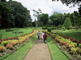 Peradeniya Botanical Gardens  Kandy  Sri Lanka