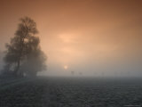Autumn Impression  Luebbecke  Germany