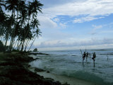 Stilt Fishermen Fishing from Their Poles Between Unawatuna and Weligama  Sri Lanka
