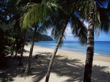 Castara Bay  Tobago  West Indies  Caribbean  Central America