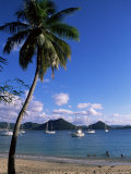 Pigeon Point  Rodney Bay  St Lucia  Windward Islands  West Indies  Caribbean  Central America
