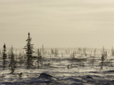 Snow Storm  Blizzard  Churchill  Hudson Bay  Manitoba  Canada