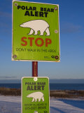 Sign  Polar Bear Alert at Hudson Bay  Churchill  Manitoa  Canada
