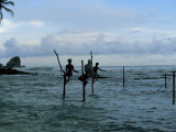 Stilt Fishermen Fishing from Their Poles Between Unawatuna and Weligama  Sri Lanka