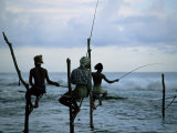 Stilt Fishermen Fishing from Their Poles Between Unawatuna and Weligama  Sri Lanka