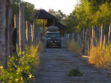 Bridge Near the Camp  Moremi Wildlife Reserve  Botswana  Africa