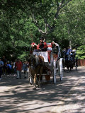 Horse Drawn Carriage in Central Park  Manhattan  New York  New York State  USA