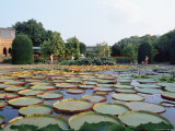 Wilhelma Zoo and Botanical Gardens  Stuttgart  Baden Wurttemberg  Germany