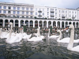 Swans in Front of the Alster Arcades in the Altstadt (Old Town)  Hamburg  Germany