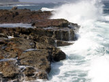 Cape of Good Hope  National Park  Near Cape Town  South Africa  Africa
