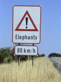 Sign  Elephants Crossing the Road  Caprivi  Namibia  Africa