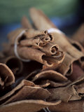 Cinnamon Sticks at the Market  Fort De France  Martinique  Lesser Antilles