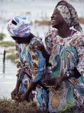Two Smiling Zanzibari Women Working in Seaweed Cultivation  Zanzibar  Tanzania  East Africa  Africa