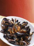 Plate of Mussels  Glasgow  Scotland  United Kingdom