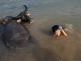 A Boy Bathes with His Water Buffalo in the Mekong River  Near Kratie  Eastern Cambodia  Indochina