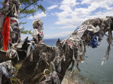Sacred Shamanic Tree on Lake Baikal  Siberia  Russia