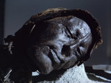Mummy of Iron Age Sacrificial Victim  Tolland Man  Denmark  Scandinavia