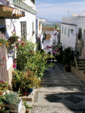 Narrow Street Filled with Flowers and Plants  Salobrena  Andalucia (Andalusia)  Spain