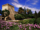 Torre De La Sultana and Spring Flowers  Alcazaba  Alhambra  Granada  Andalucia  Spain