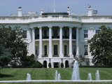 The White House  Washington Dc  USA