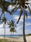 Anakena Beach  Easter Island (Rapa Nui)  Chile  South America
