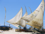 Jangada Fishermen's Boats on the Beach  Near Canoa Quedrada  Caera'  Brazil  South America