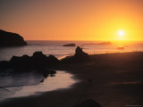 Harris Beach State Park  Brookings  Oregon  USA