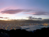 Panoramic View from Mount Victoria at Sunset  of Wellington  North Island  New Zealand