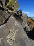 Petroglyphs  Santa Fe County  New Mexico  USA