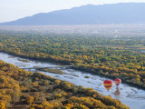 Hot Air Balloons  Albuquerque  New Mexico  USA