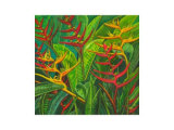Bird of Paradise
