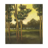 Through the Trees II