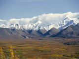 Snowline on Alaska Range  Denali National Park  Alaska  USA