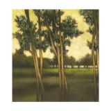 Through the Trees I