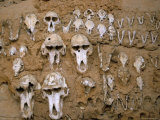 Monkey Skulls Embedded in Mud Wall to Protect Against Evil Spirits  Dogon Village of Telle  Africa