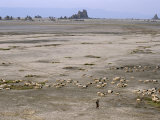 Lac Abhe in Wide Rift Valley  Relics from Old Lake at Higher Level  Djibouti