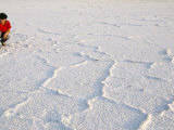 Salt Flats Beside Lac Assal in Rift Valley 152M Below Sea Level  Afar Triangle  Djibouti  Africa