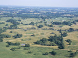 Sinkhole Plain  Polygonal Doline Karst  Near Mammoth Cave  Kentucky  USA