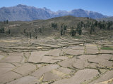Field Patterns Near Chivay in Winter  Above the Colca Canyon  Peru  South America