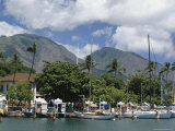 Sailing Boats in the Harbour of Lahaina  an Old Whaling Station  West Coast  Hawaii