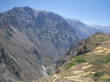 Canyon Below Chivay  Colca Canyon  Peru  South America