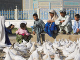 Woman Taking Photograph of Family Squatting on a Wall  Mazar-I-Sharif  Afghanistan
