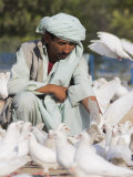 Man Feeding the Famous White Pigeons  Mazar-I-Sharif  Afghanistan