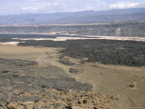 Lavas from Ardoukoba Volcano in Rift Valley 152M Below Sea Level  Afar Triangle  Djibouti  Africa