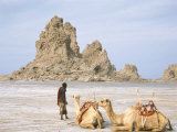 Tufa Towers at Lac Abhe  Afar Triangle  Djibouti