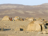 Desert Camp of Afar Nomads  Afar Triangle  Djibouti  Africa