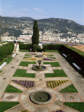 Cimiez Gardens  Nice  Alpes Maritimes  Cote d'Azur  French Riviera  Provence  France